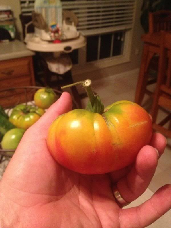  photo 001_zpsb52ae7b3.jpg